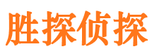 龙湖侦探公司